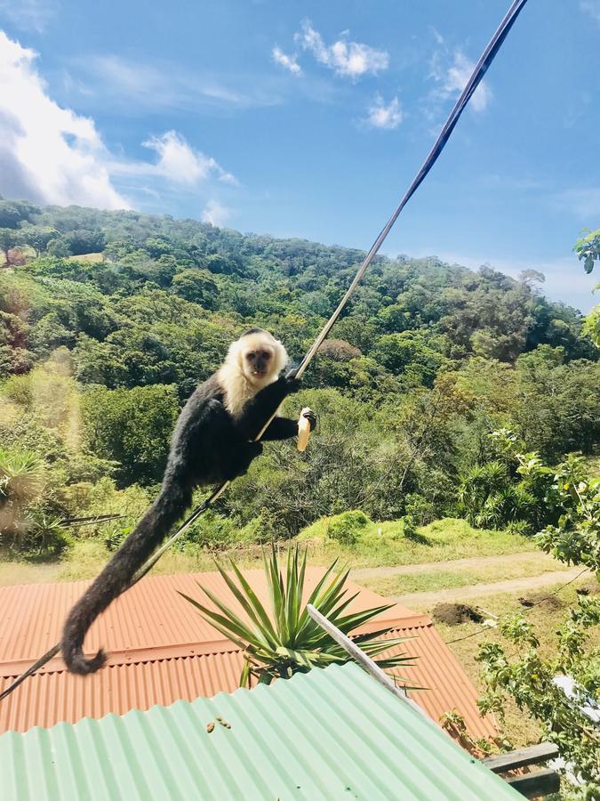 Que Tuanis Hostel Monteverde 외부 사진