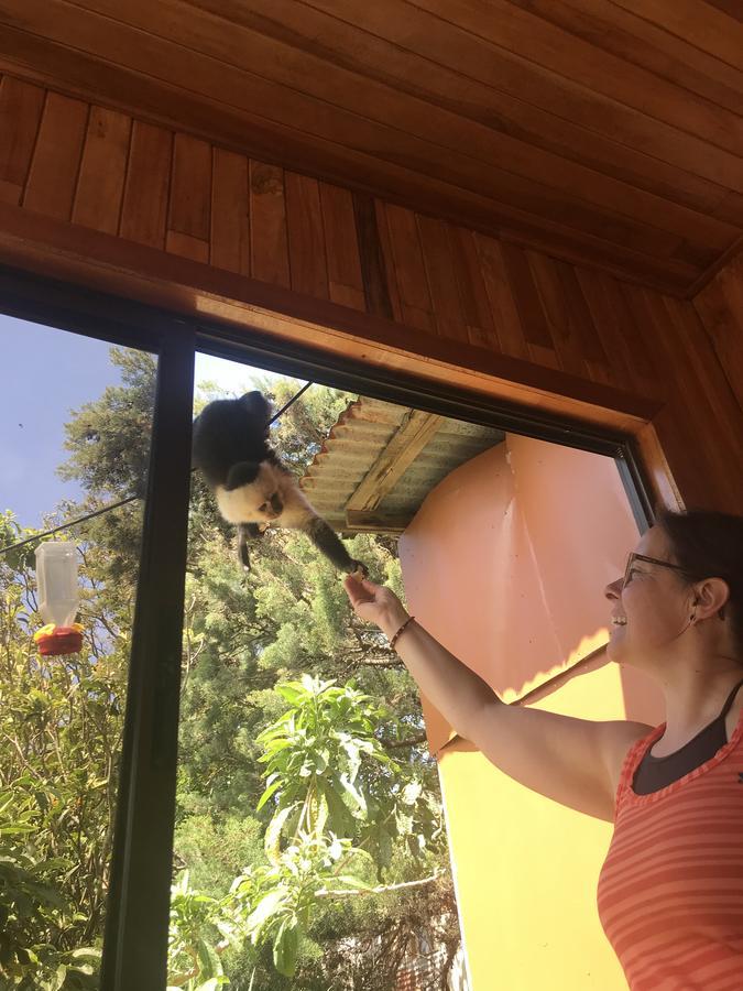 Que Tuanis Hostel Monteverde 외부 사진