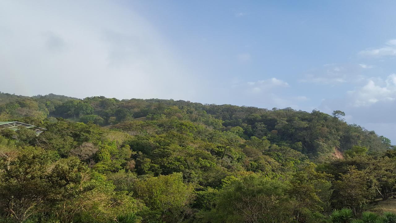 Que Tuanis Hostel Monteverde 외부 사진